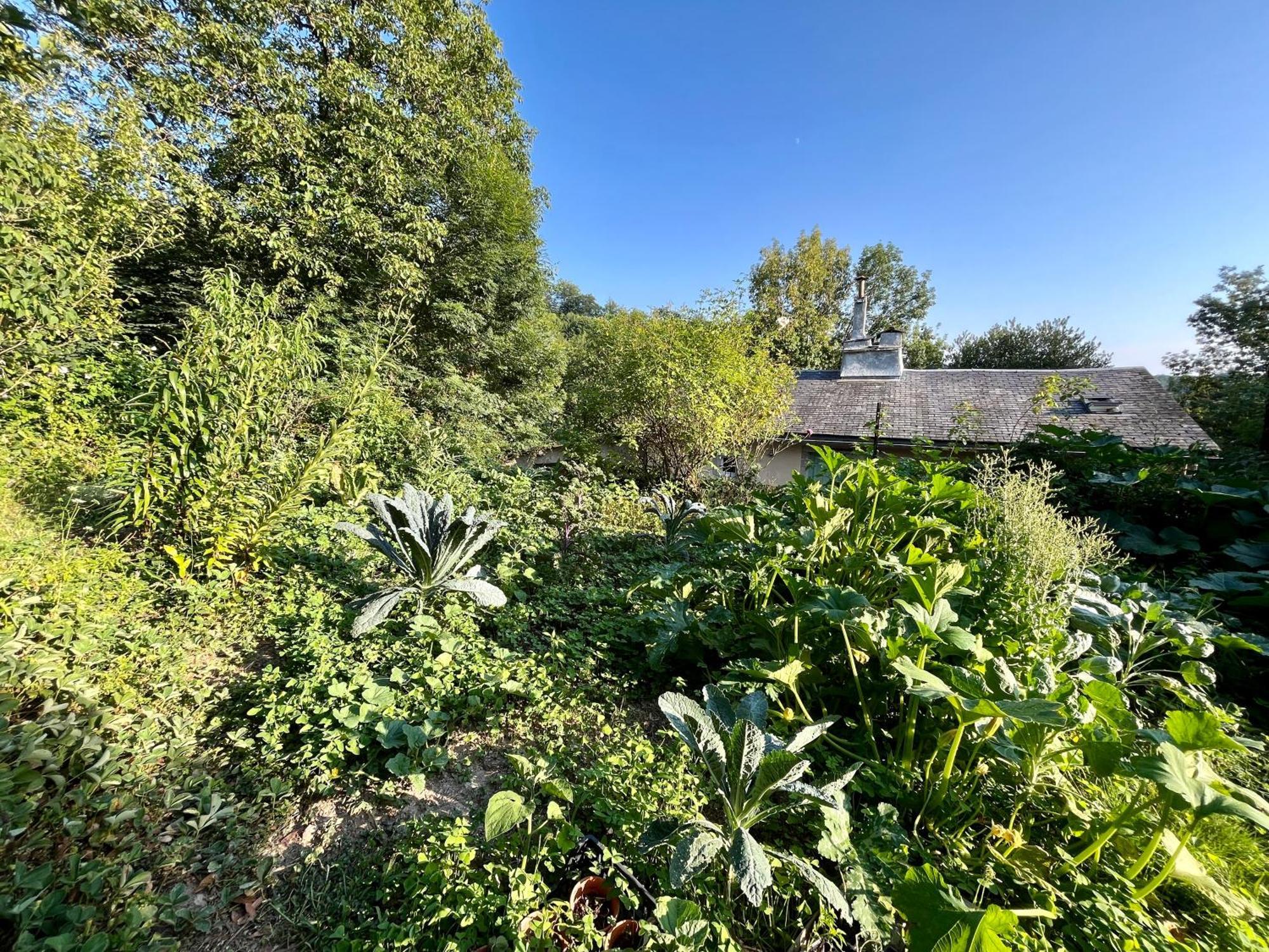 Parenthese En Foret - Lodge Baliveau Le Bez  Exterior foto