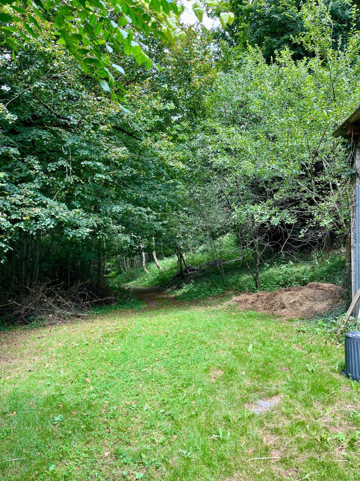 Parenthese En Foret - Lodge Baliveau Le Bez  Exterior foto